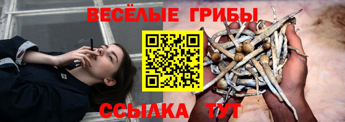 ГАШ Краснокаменск